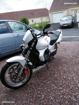 600 hornet