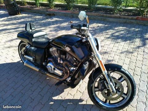 Harley Davidson VRod VRSCF MUSCLE