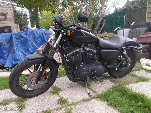 Harley 883 iron