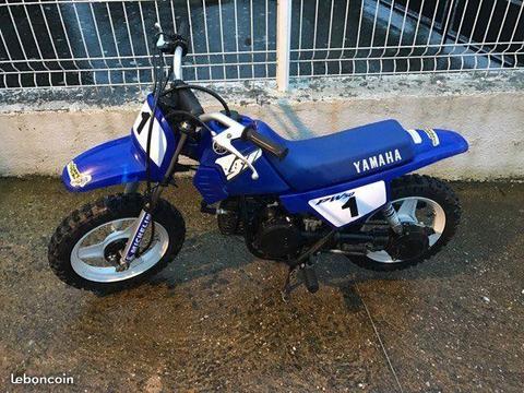 Pw 50