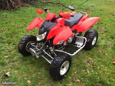 Quad 300cc homologué route 2 place