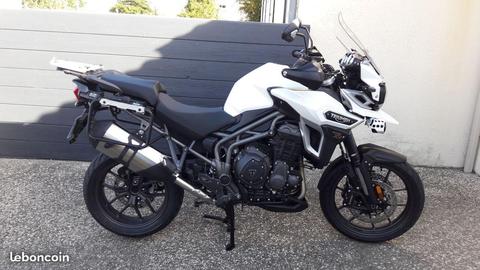 Triumph xrx