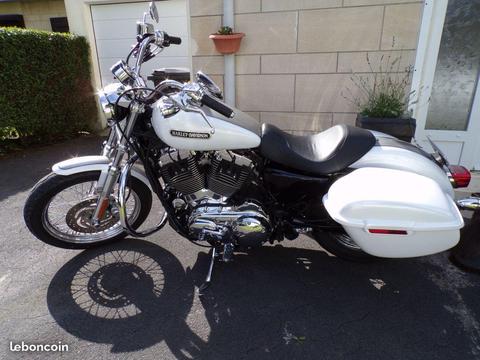 Harley sportster 1200 low