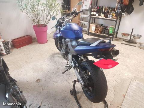 600 hornet