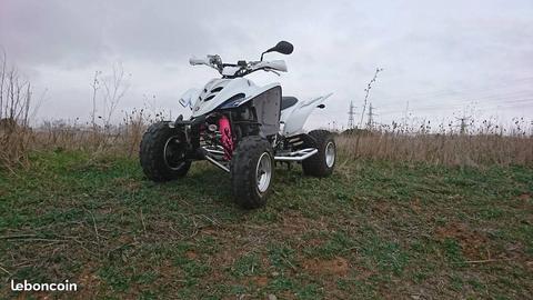 Magnifique 350 raptor