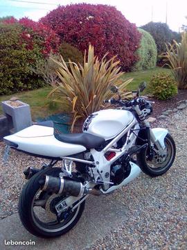 Suzuki 1000 TLS