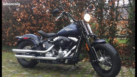 Harley Davidson Cross Bones