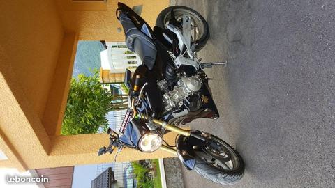 600 hornet