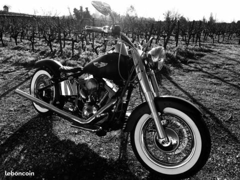 Harley softail 1690 bobber avant reprise