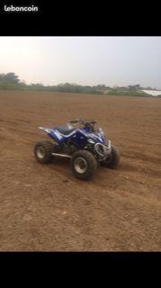 Quad Raptor 250