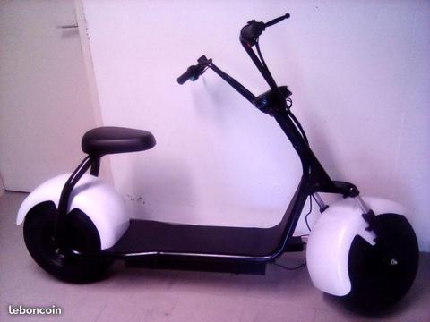 Scooter electrique trotinette