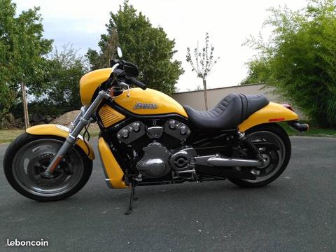 Harley Davidson Nightrod