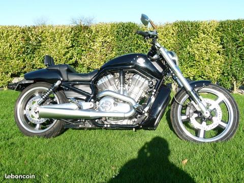 HARLEY V-ROD MUSCLE noir