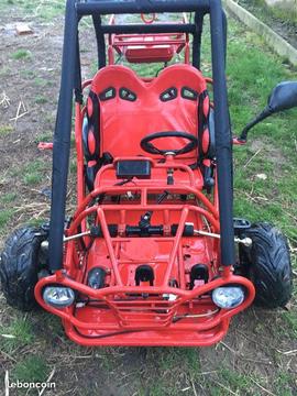 Buggy 110 xt