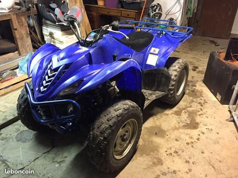 Quad 450 wolverine