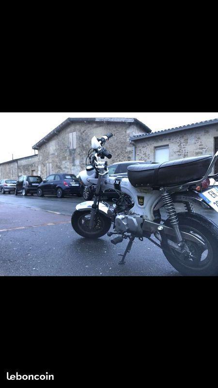 Dax TNT 50cm3