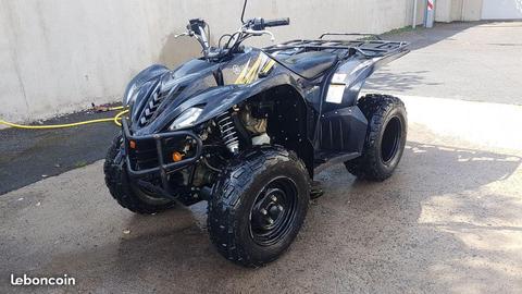 Quad Yamaha Wolverine 450