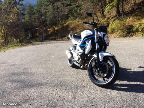 Suzuki gladius