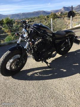 Harley Davidson 48 xl 12,5l