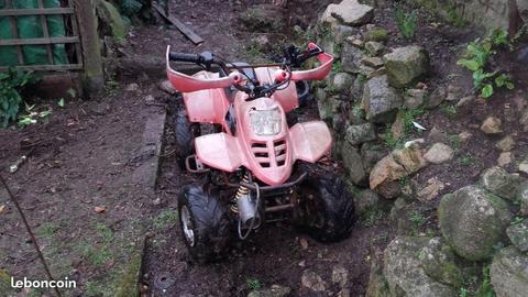Quad 110 cm3