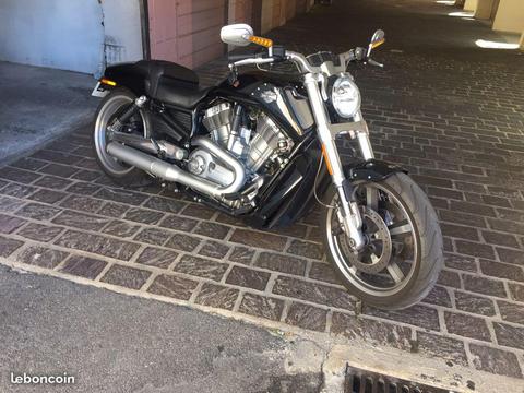 V rod muscle harley davidson