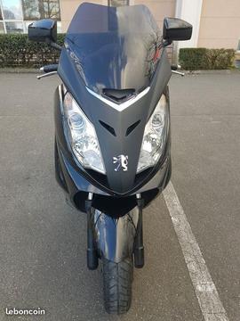 Satelis RS 2009