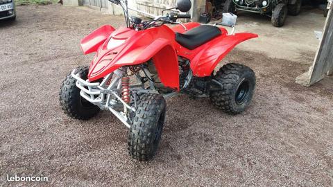 quad 300 adly