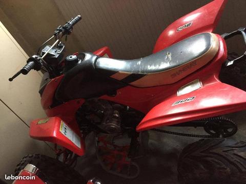 Quad 250 sheneray