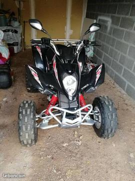 Quad 300cm3