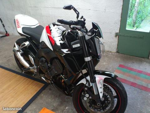 Yamaha 1000 fz1 unique
