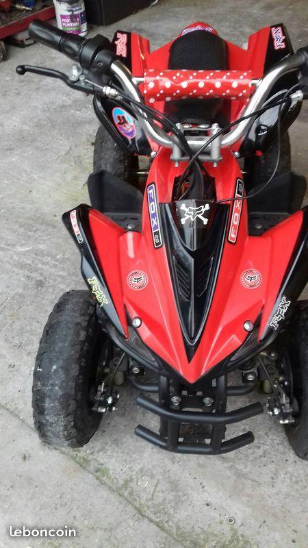 quad electrique