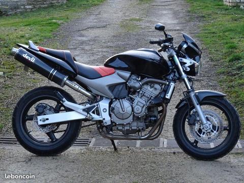 600 hornet