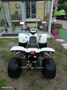 quad adly 320 s