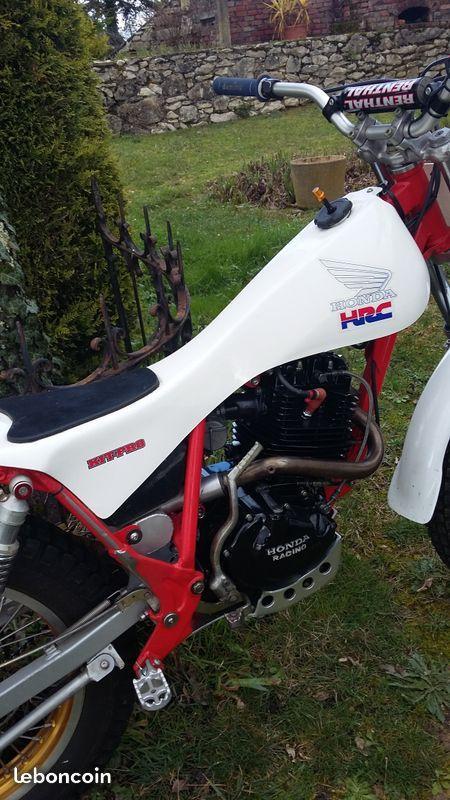 Honda TLR 250 trial