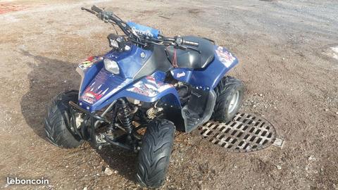 Quad Hytrack 80 sx
