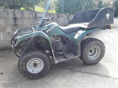 Quad 250 big bear