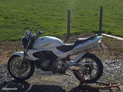 600 hornet