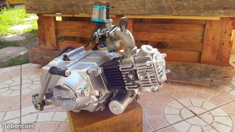 Moteur skyteam 50cc