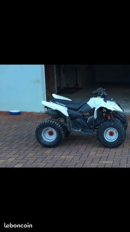 Quad Polaris Predator 90cm3