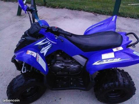 Quad Yamaha raptor 90 