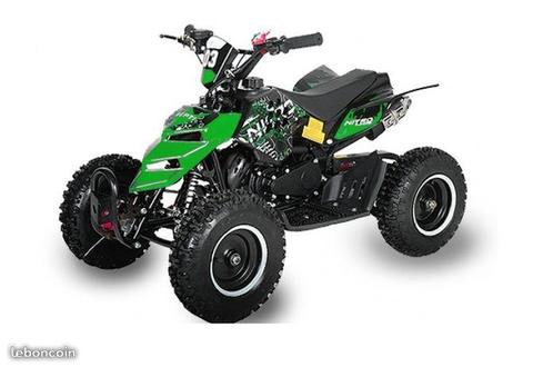 PROMO Quad REPTIL 800w 6