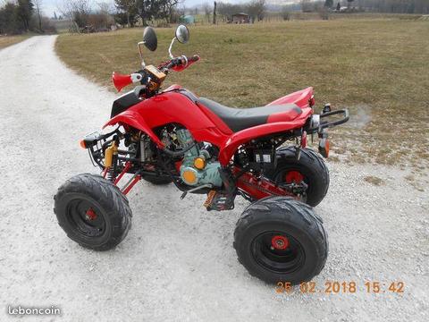 Quad 250cc Dorton psychopath
