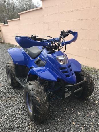 QUAD bigfoot 110 cc