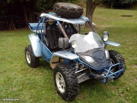 Buggy Alp Saiting 800