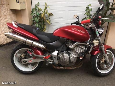 600 hornet