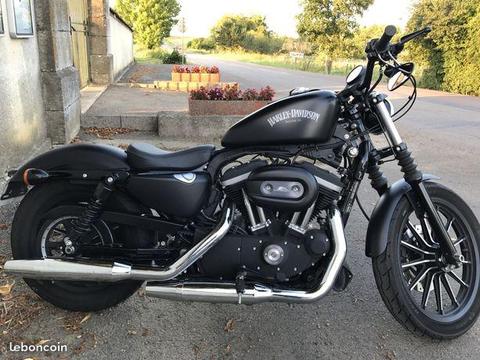 Harley davidson 883 iron