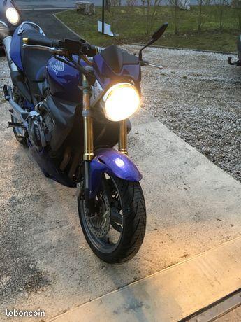 600 hornet