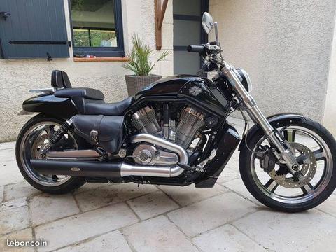 harley davidson v rod muscle