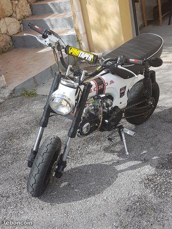 Dax Pro 50 cm