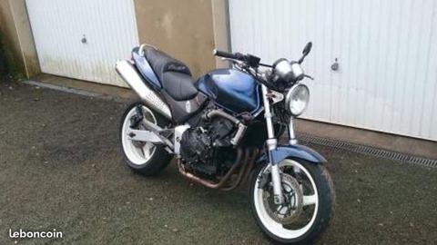 Hornet 600